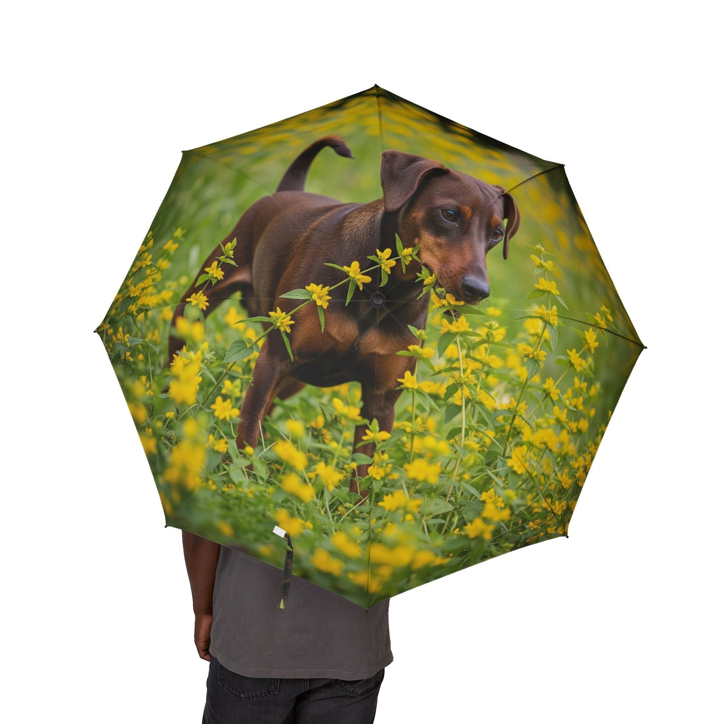 48" Semi-Automatic Umbrella – Windproof Large Travel Rain Umbrella