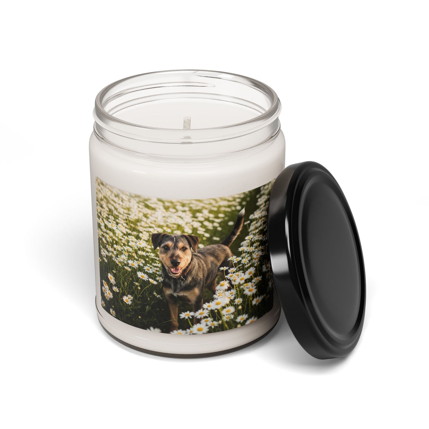 Soy Candle – Scented Jar Candle