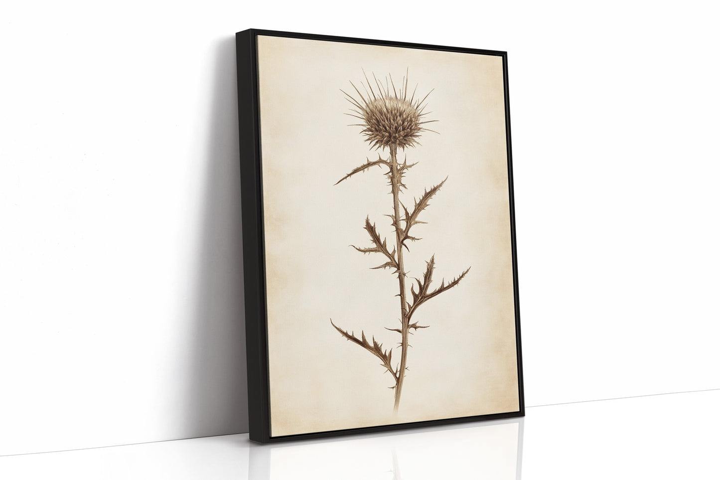 Vintage Thistle Botanical Print – Rustic Western Floral Wall Art