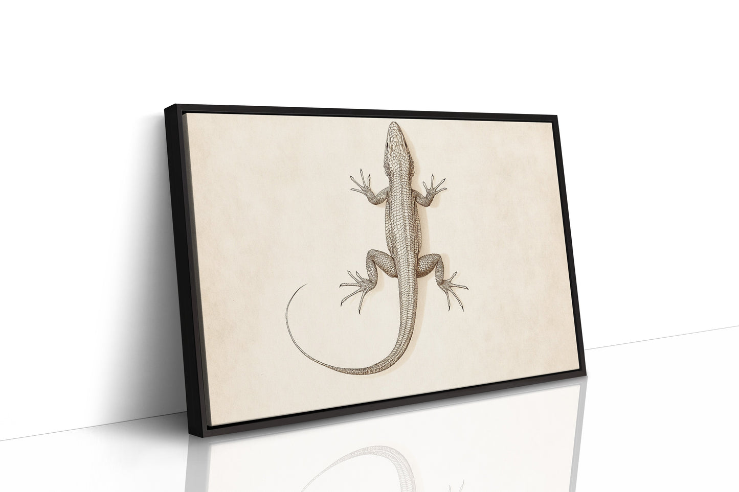 Desert Dweller – Vintage Lizard Scientific Illustration Print