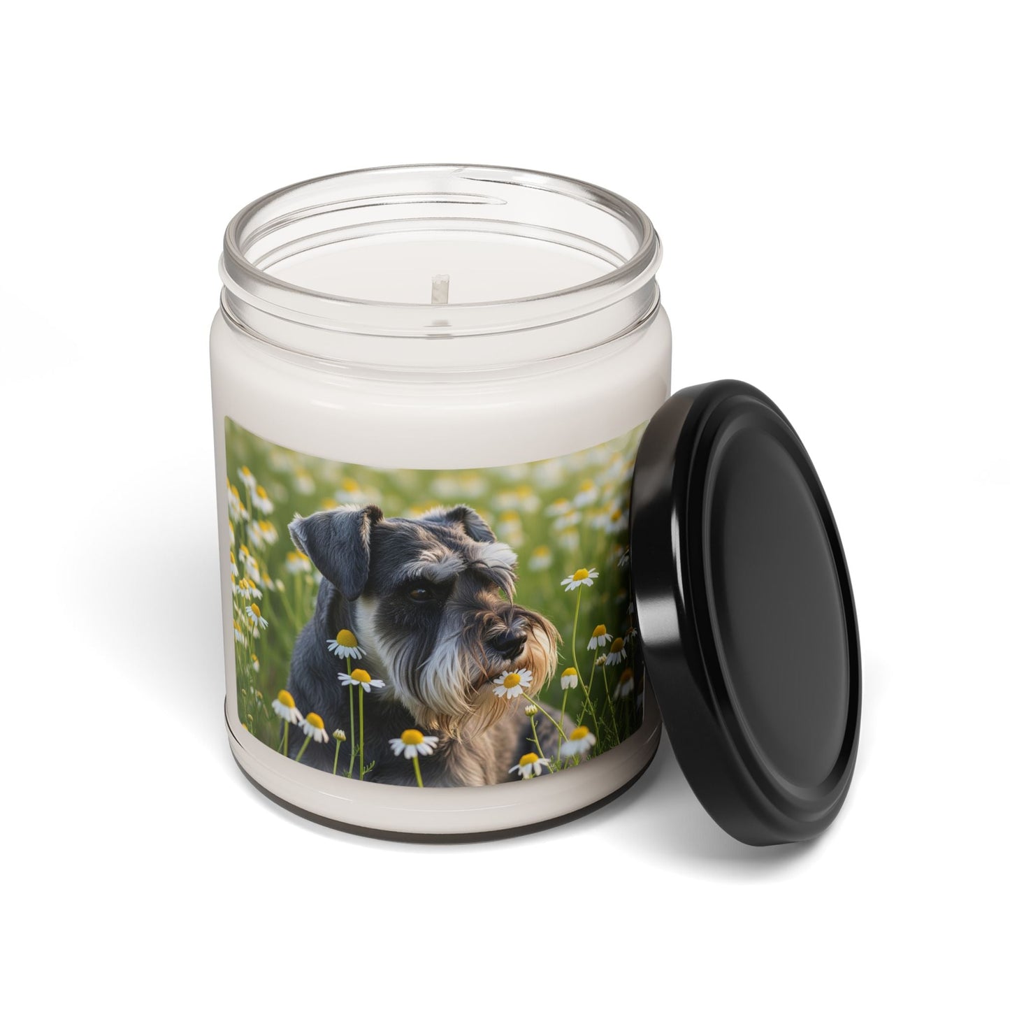 Soy Candle – Scented Jar Candle