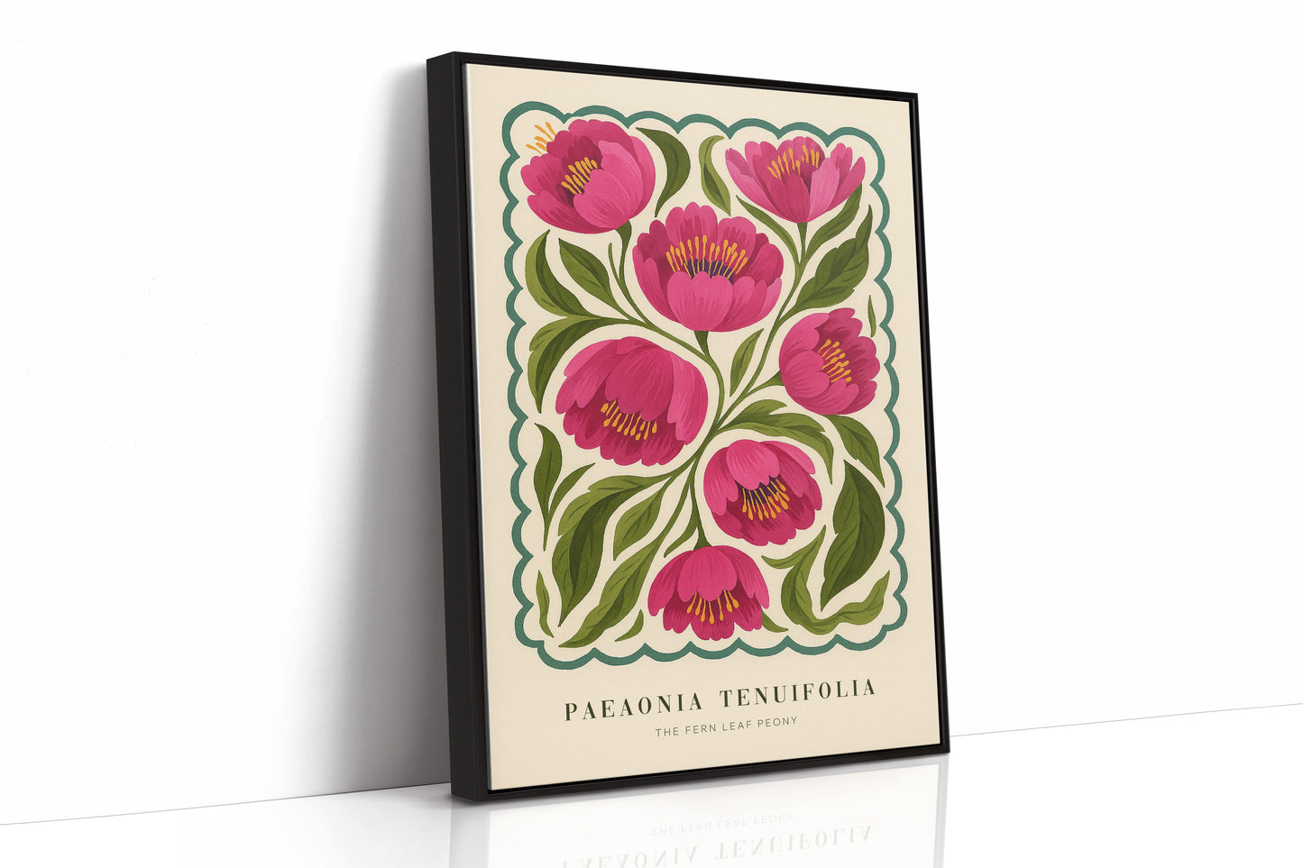 Étude de pivoine n° 5 – Le soft power en pleine floraison