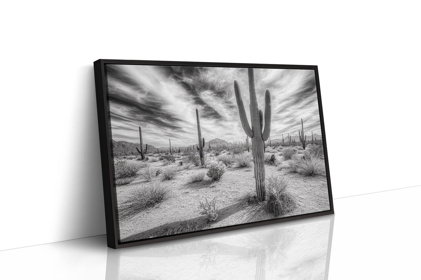 Saguaro Silence in Black and White