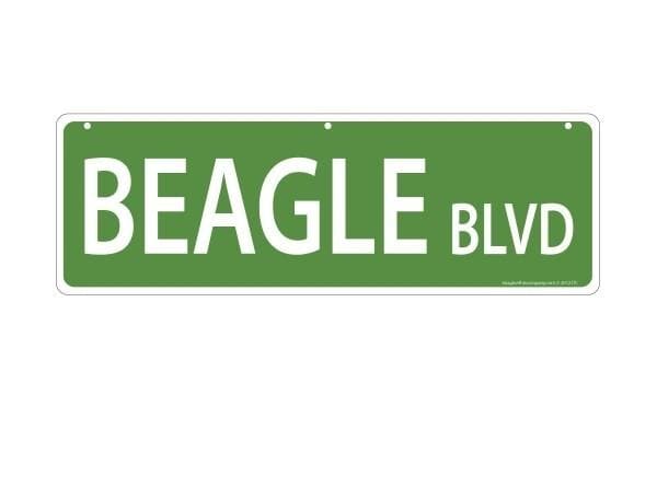 Imagine This Pet-Themed Street Signs