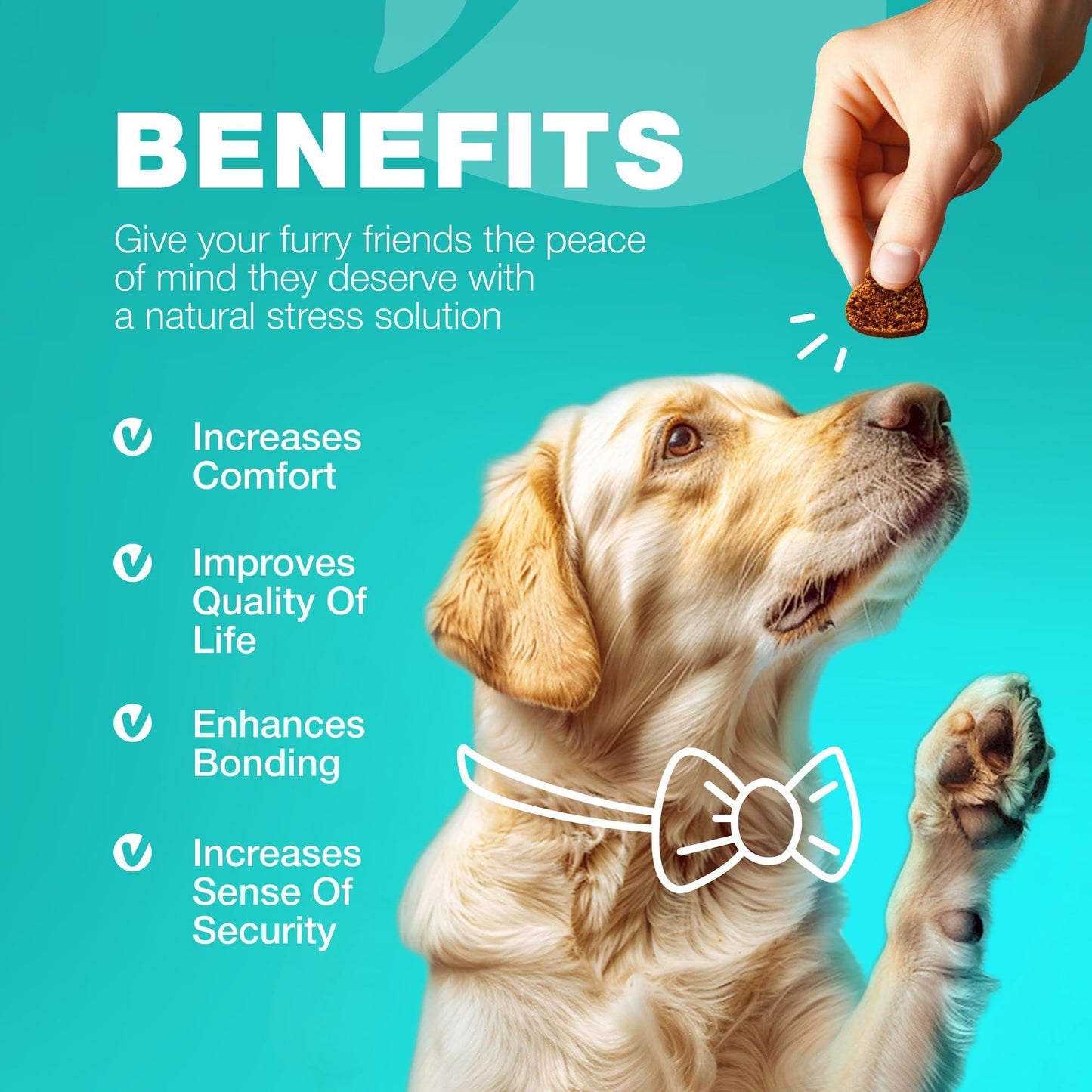 No Poo Chews for Dogs Coprophagia Deterrent Probiotics Gut Health