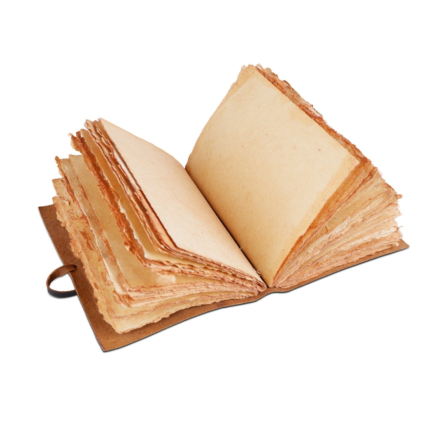 Lebensbaum-Journal
