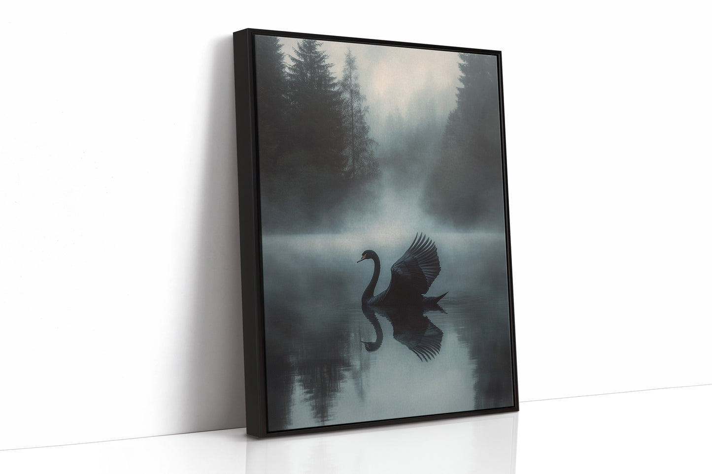 Black Swan in Morning Fog