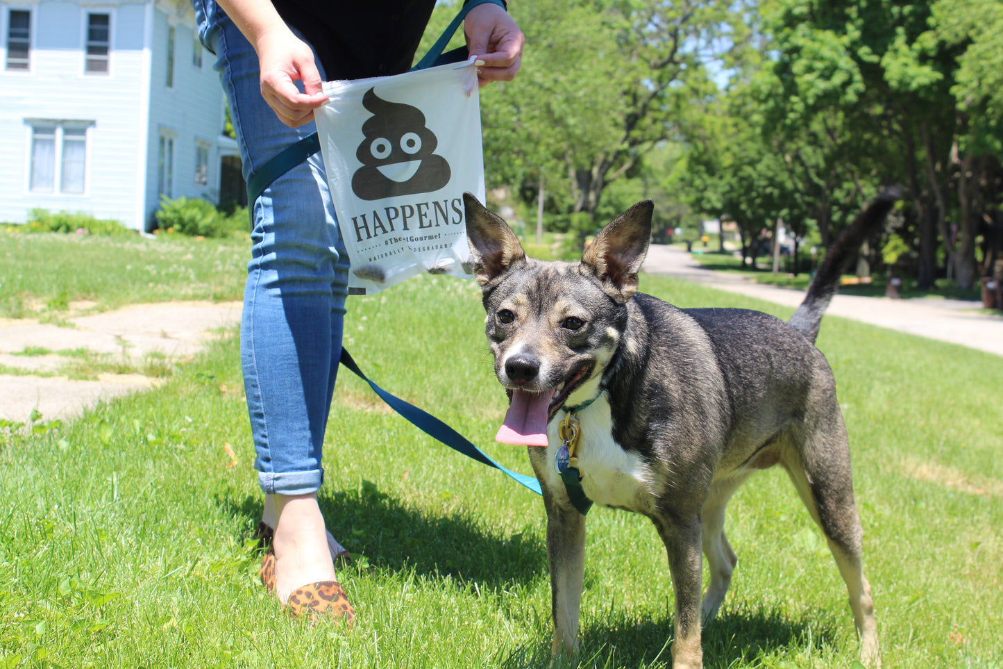 Package of eco-friendly poop bags with 6 refill rolls featuring fun sayings and biodegradable material