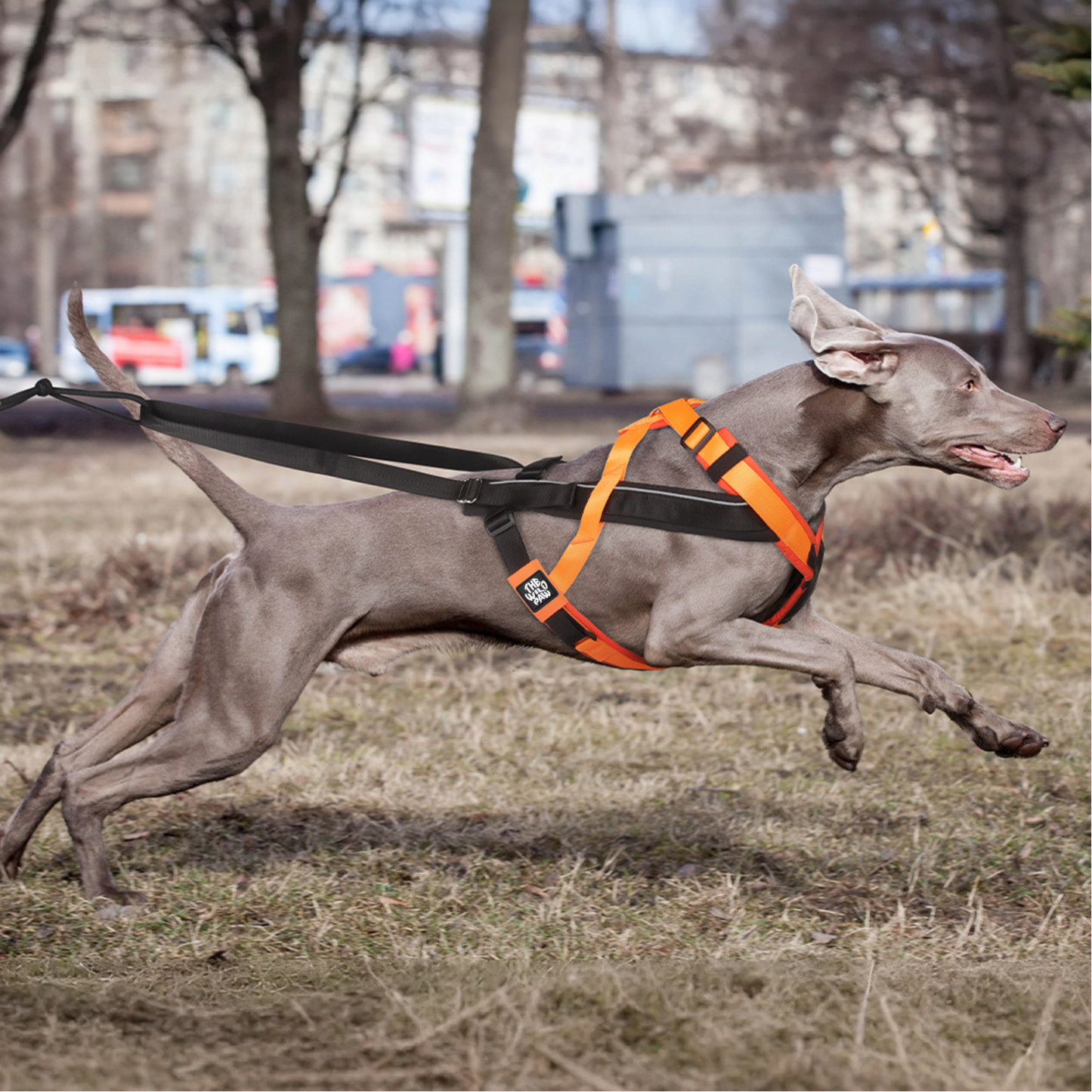 TrailControl No-Pull Harness