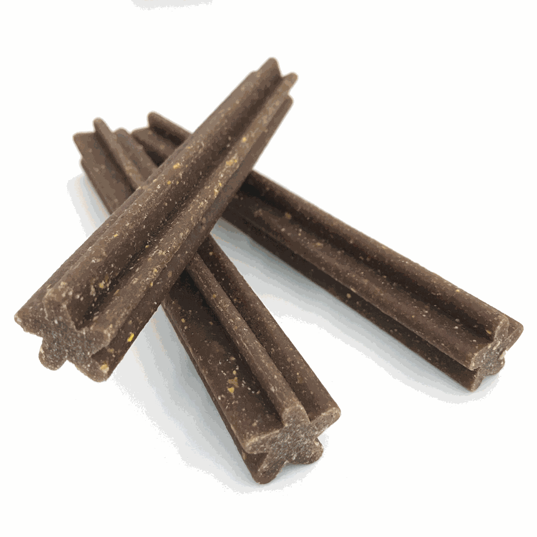 Pumpkin Chew 8 PackPet SuppliesThese Pumpkin Chews are not only super yummy but are also beneficial for dental health and all-natural.
Ingredients: pea flour, chickpea, pumpkin, coconut glycerin,