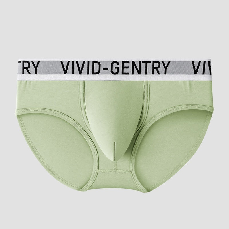 Mens U Contour Pouch Double Layer Breathable Sexy Briefs