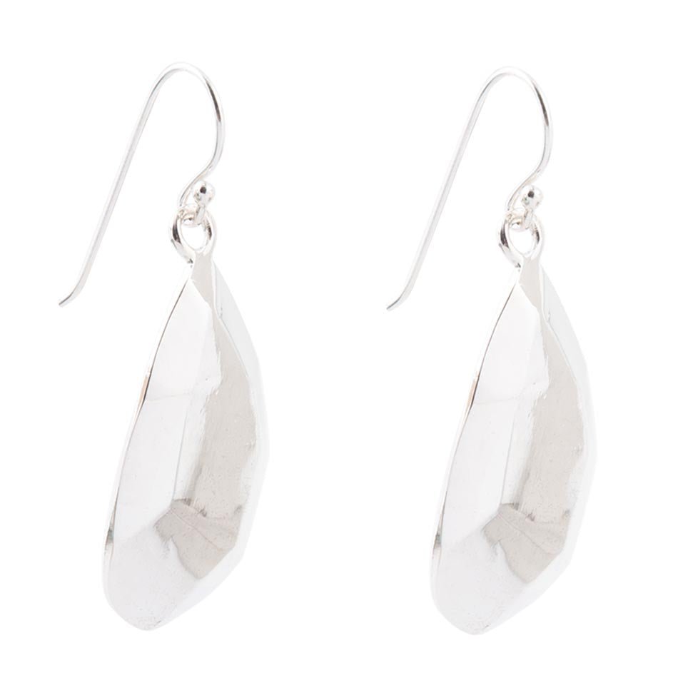 Faceted Sterling Silver Drop Earrings - ThisandThatShoppe