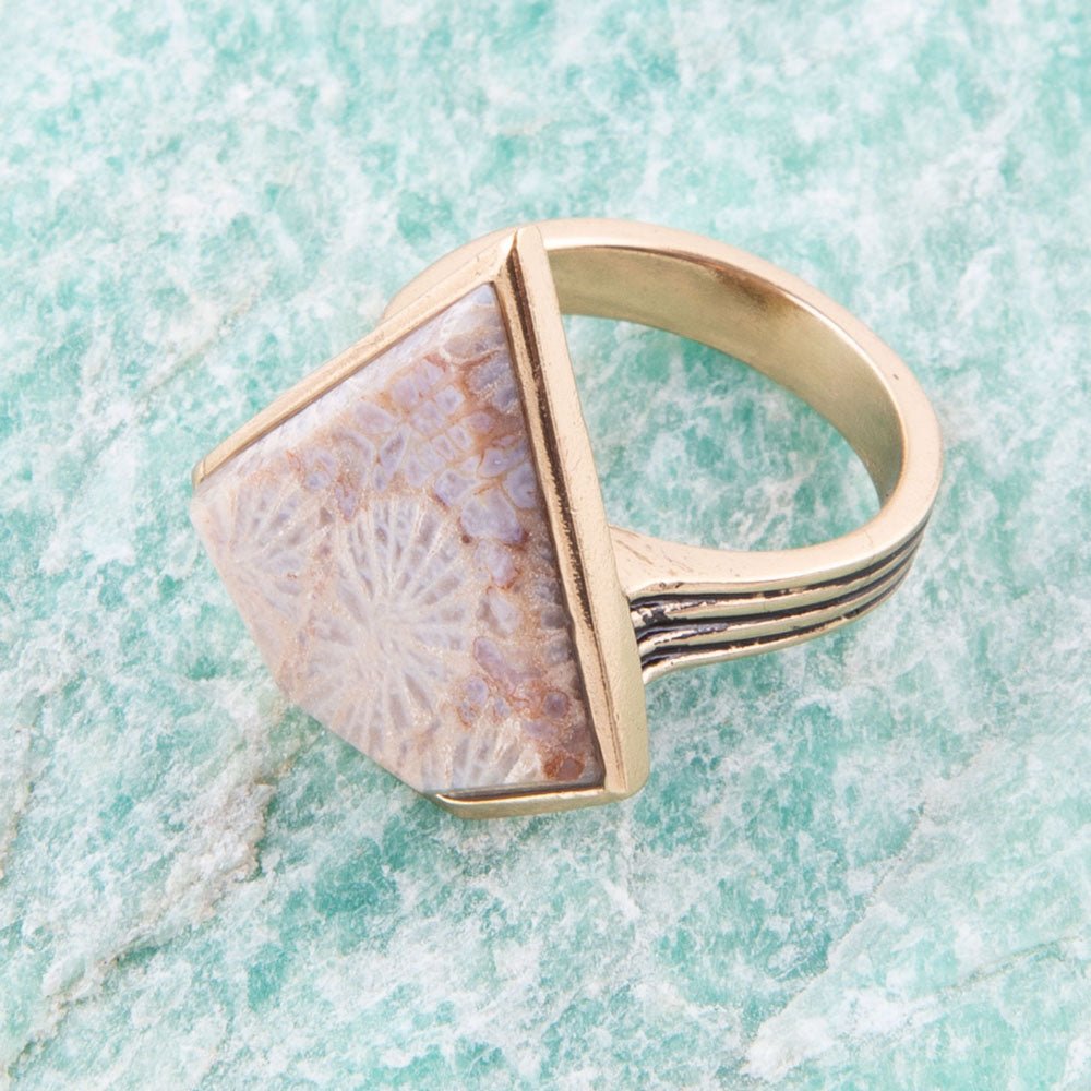 Lafayette Ring aus fossiler Koralle