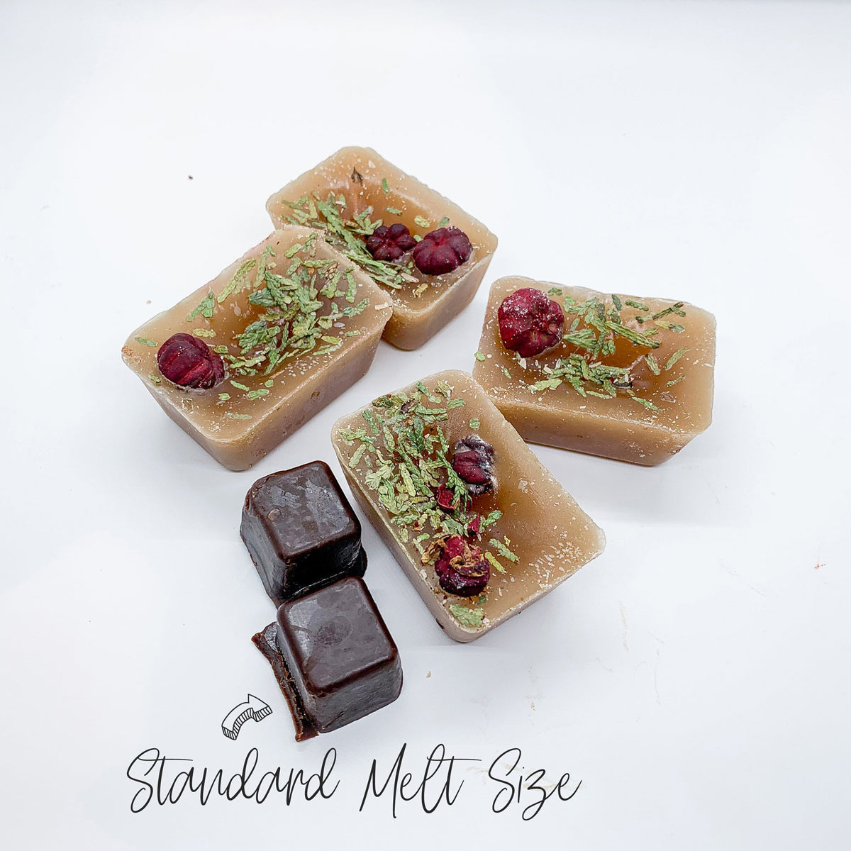 Chocolate Biscotti XL Wax Melts Natural Brownie Scent 4 Large Cubes 2.5x1
