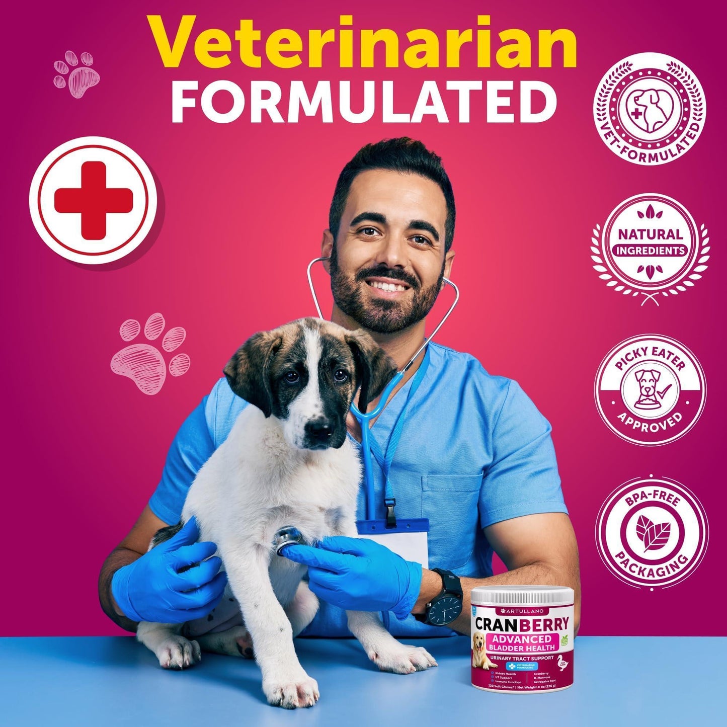 Dog UTI Treatment 240 Chews 2-Pack Cranberry Bladder & Kidney Support