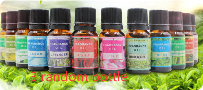 Plant aromatherapy essential oil