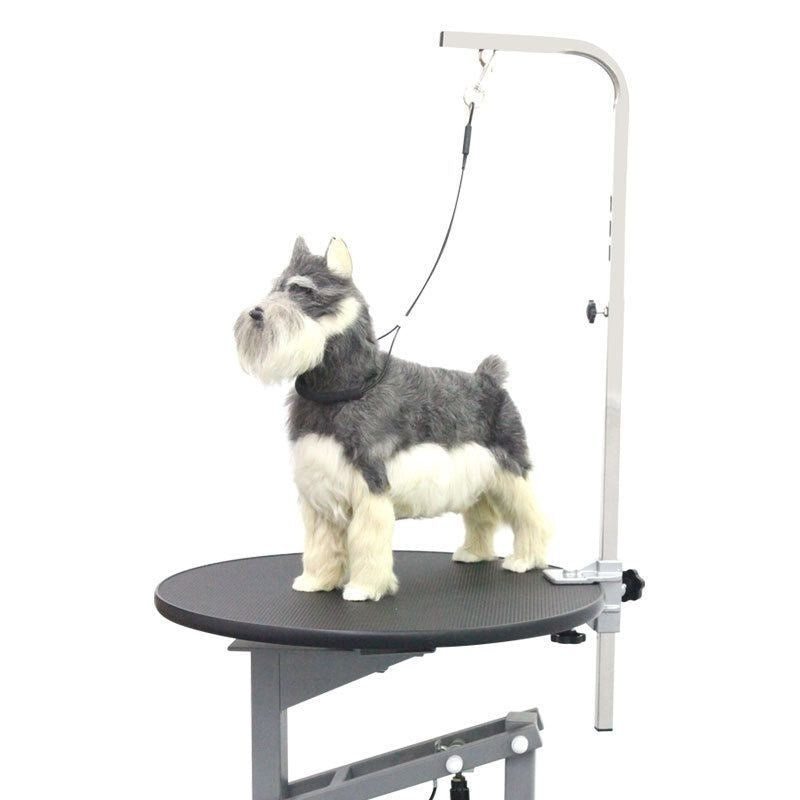 Pet Bath Fixed Rope Steel Wire Beauty Rope Sucker