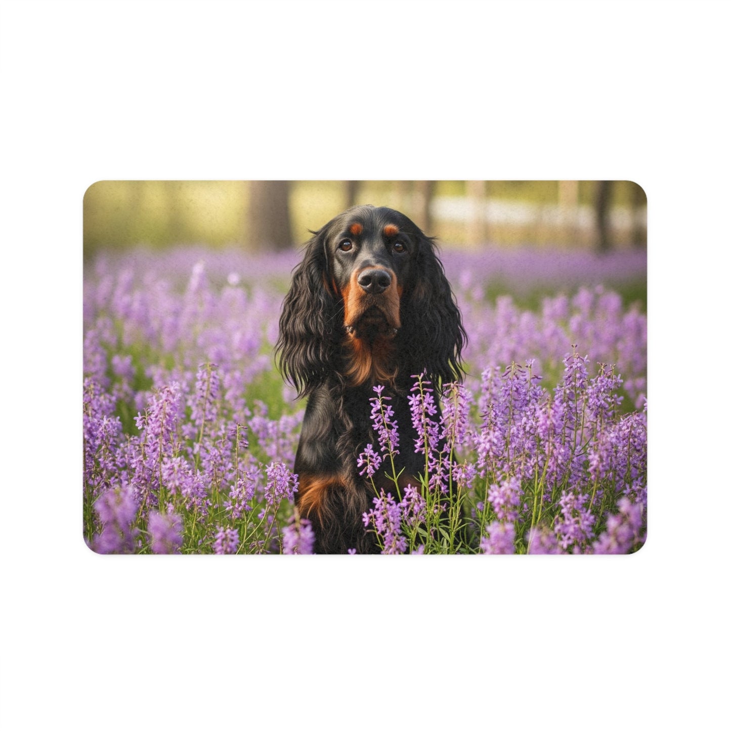 Non-Slip Pet Food Mat – Waterproof Feeding Mat for Dogs