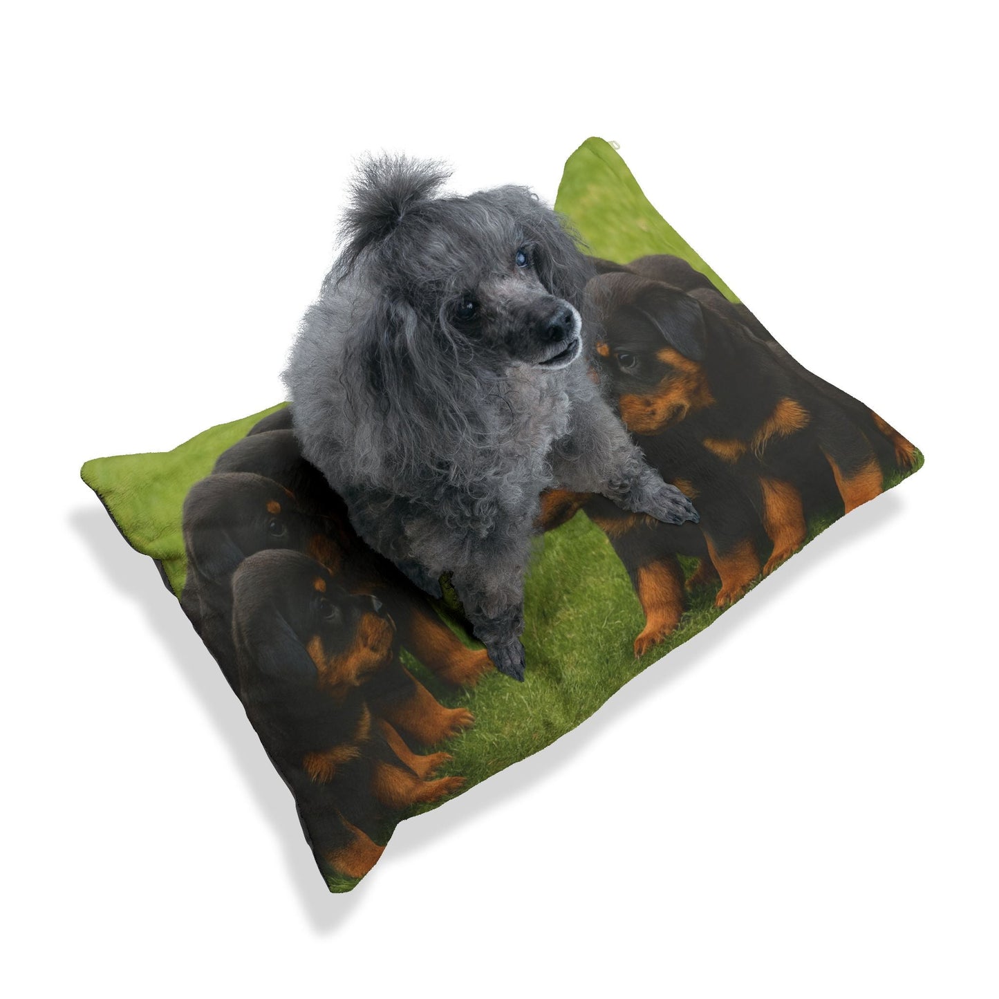 Lit pour animaux de compagnie – Lit douillet pour chien, 3 tailles disponibles