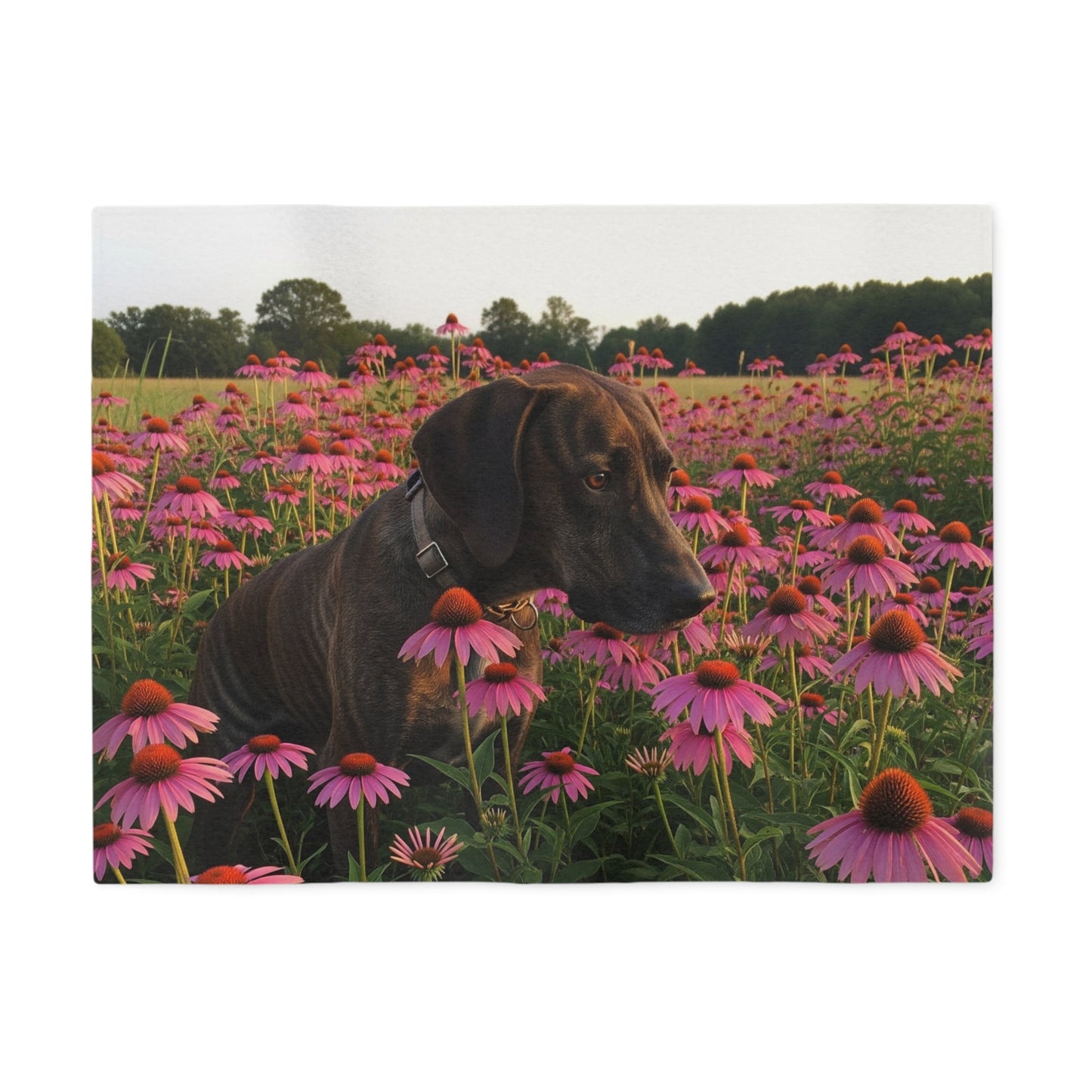 Sweatshirt Blanket – Plush Fleece Throw, 2 Size Options