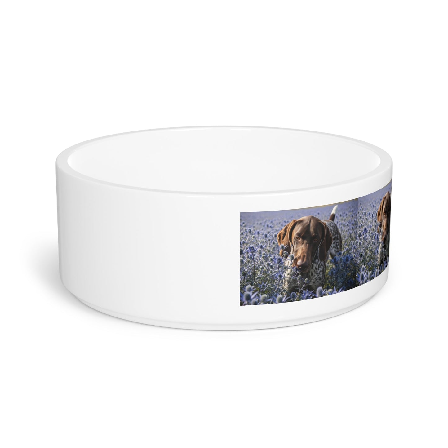Gamelle en céramique pour animaux de compagnie – Gamelle de 47 cl pour chien