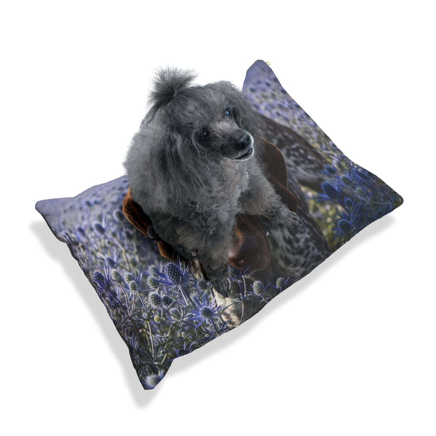 Haustierbett – Plüsch-Hundebett, 3 Größenoptionen
