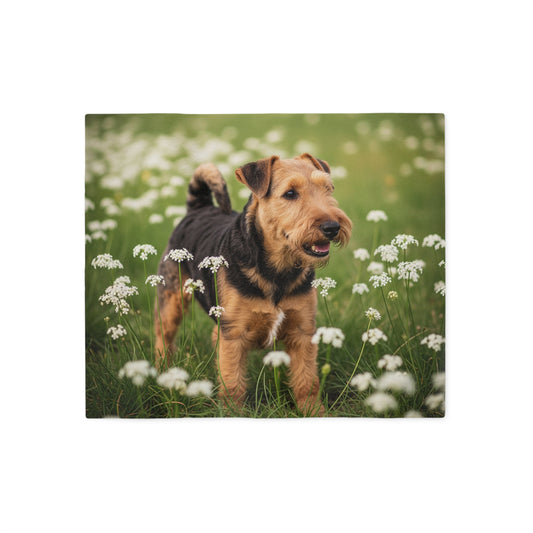 Couverture polaire – Jeté en peluche, 2 options de taille