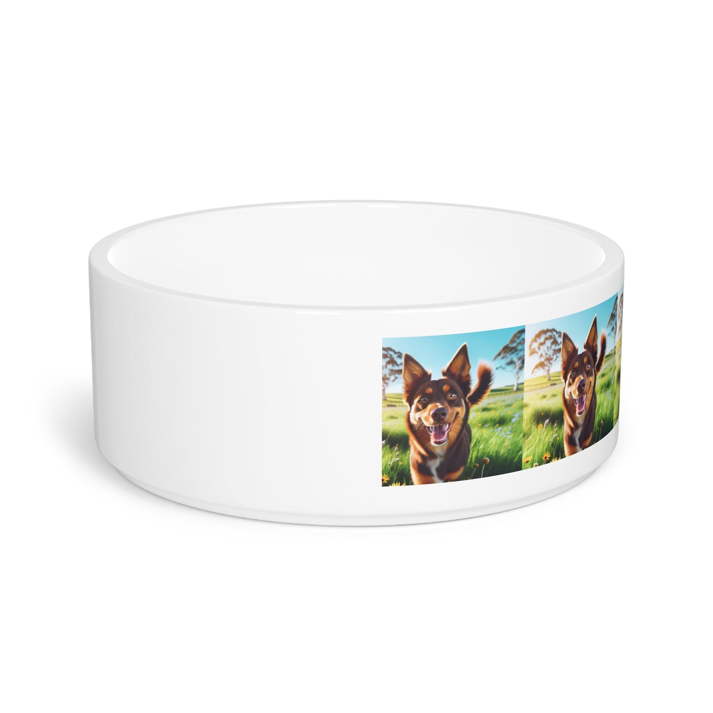 Ceramic Pet Bowl – 16 oz Dog Feeding Bowl