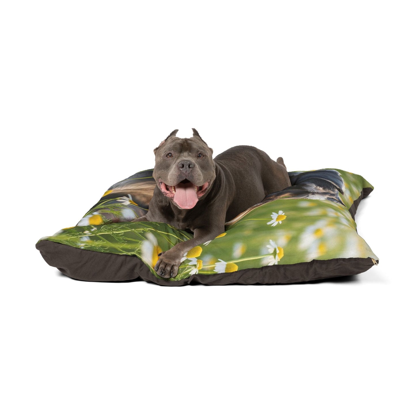 Lit pour animaux de compagnie – Lit douillet pour chien, 3 tailles disponibles