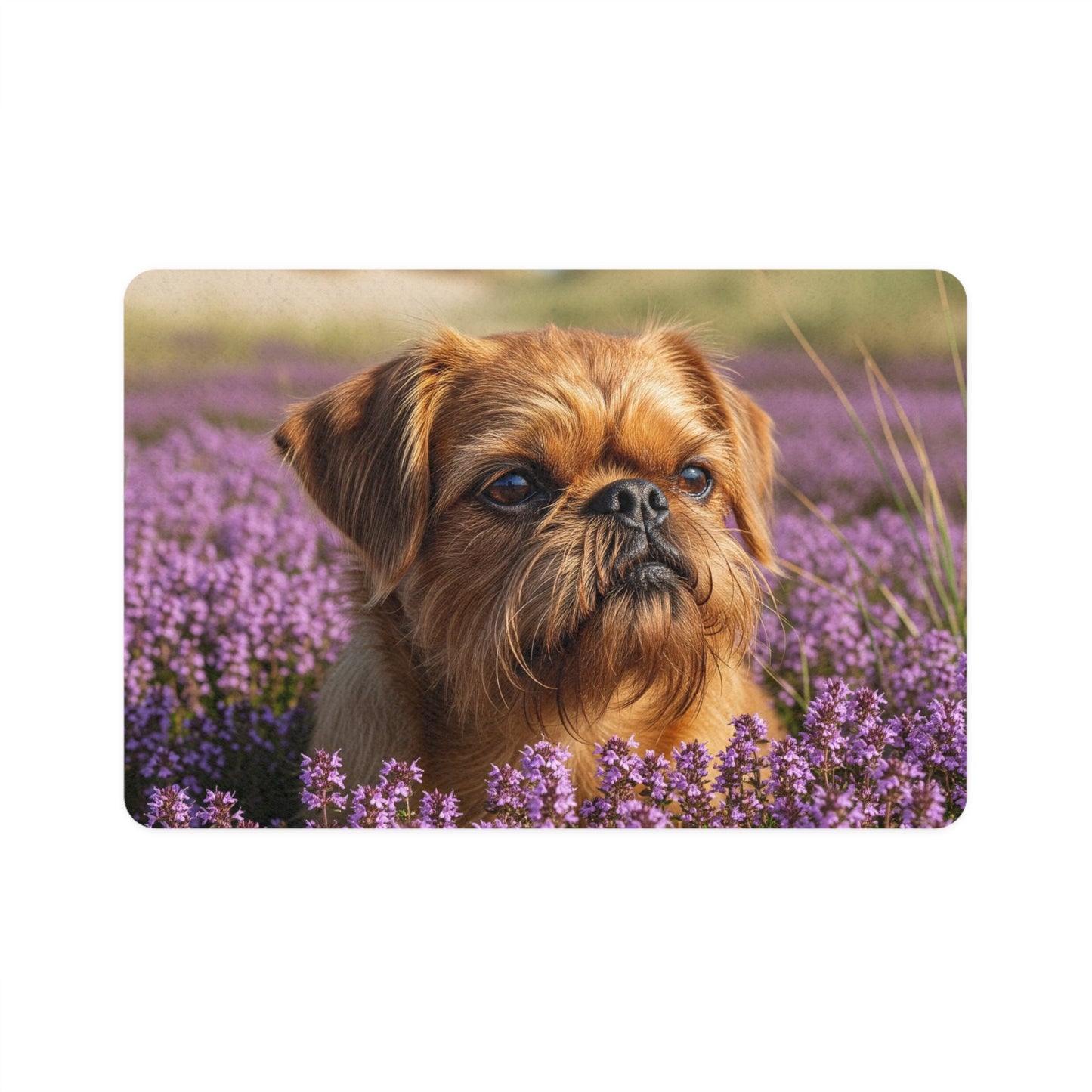 Tapis antidérapant pour animaux de compagnie – Tapis d'alimentation étanche pour chiens