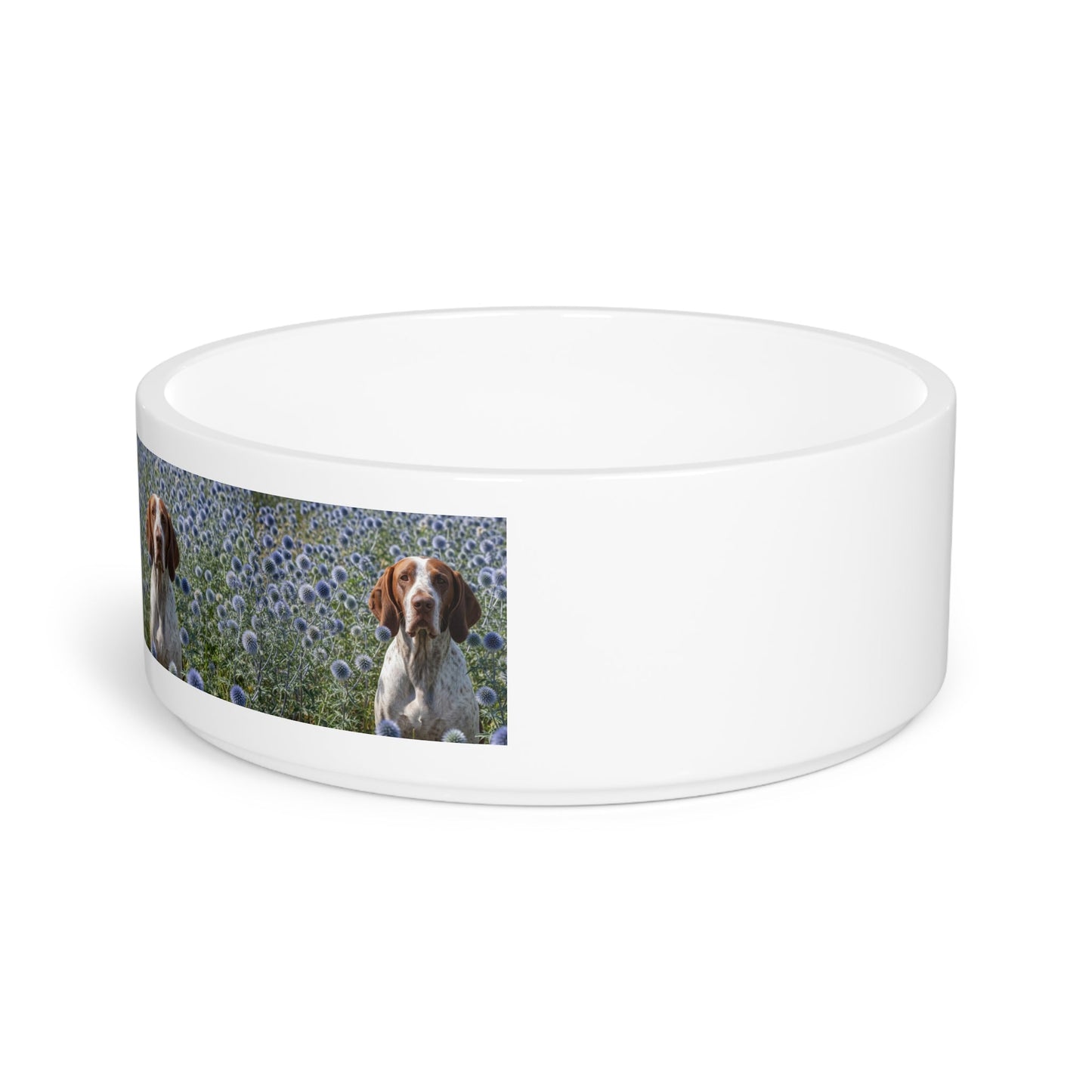 Ceramic Pet Bowl – 16 oz Dog Feeding Bowl