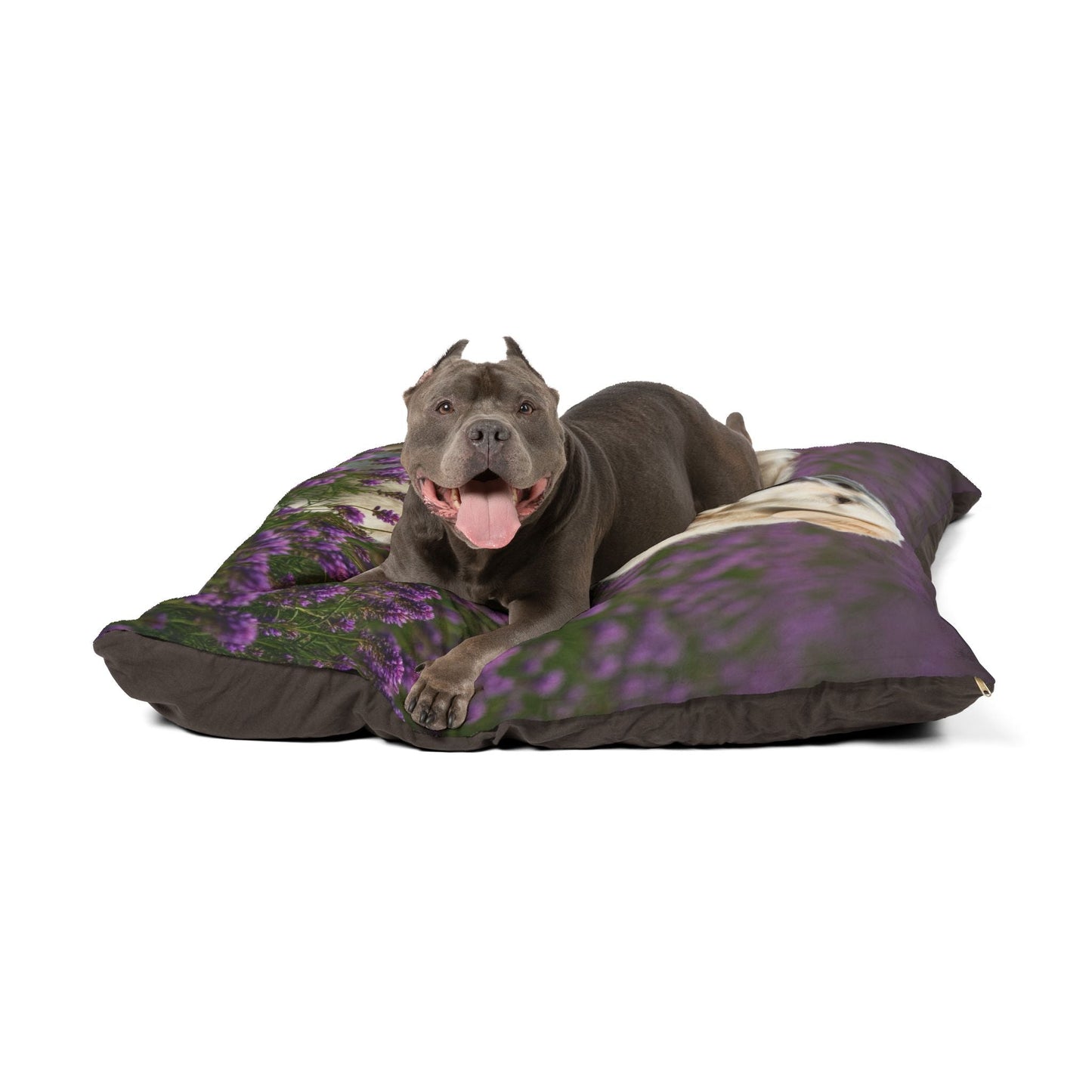Pet Bed – Plush Dog Bed, 3 Size Options