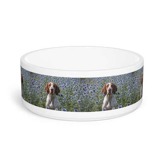 Ceramic Pet Bowl – 16 oz Dog Feeding Bowl