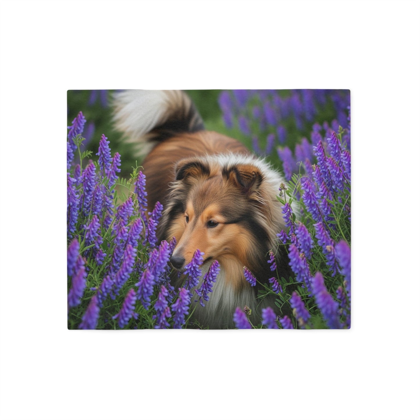 Sweatshirt Blanket – Plush Fleece Throw, 2 Size Options