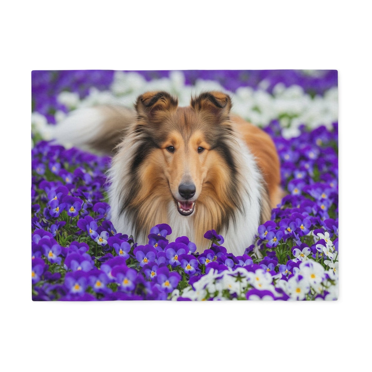 Sweatshirt Blanket – Plush Fleece Throw, 2 Size Options