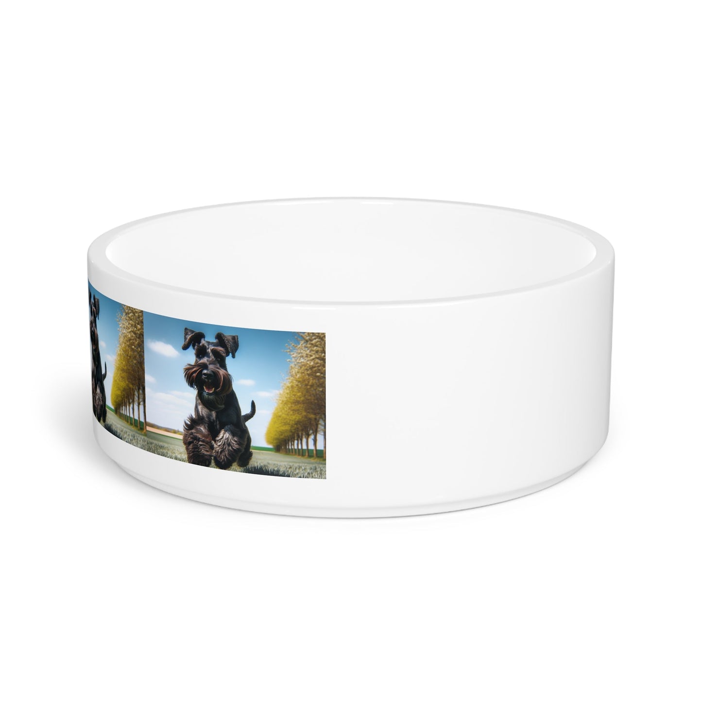 Ceramic Pet Bowl – 16 oz Dog Feeding Bowl