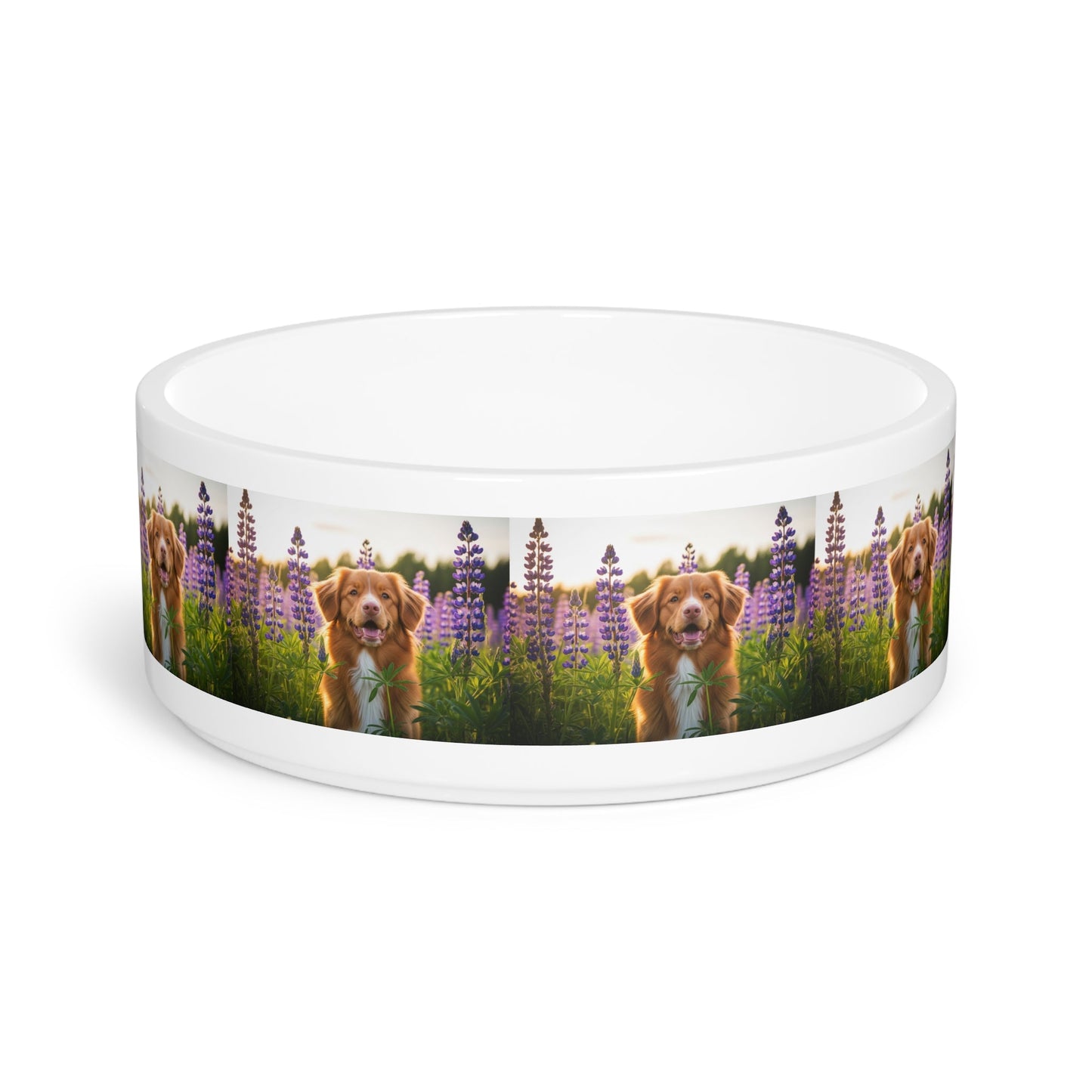 Ceramic Pet Bowl – 16 oz Dog Feeding Bowl