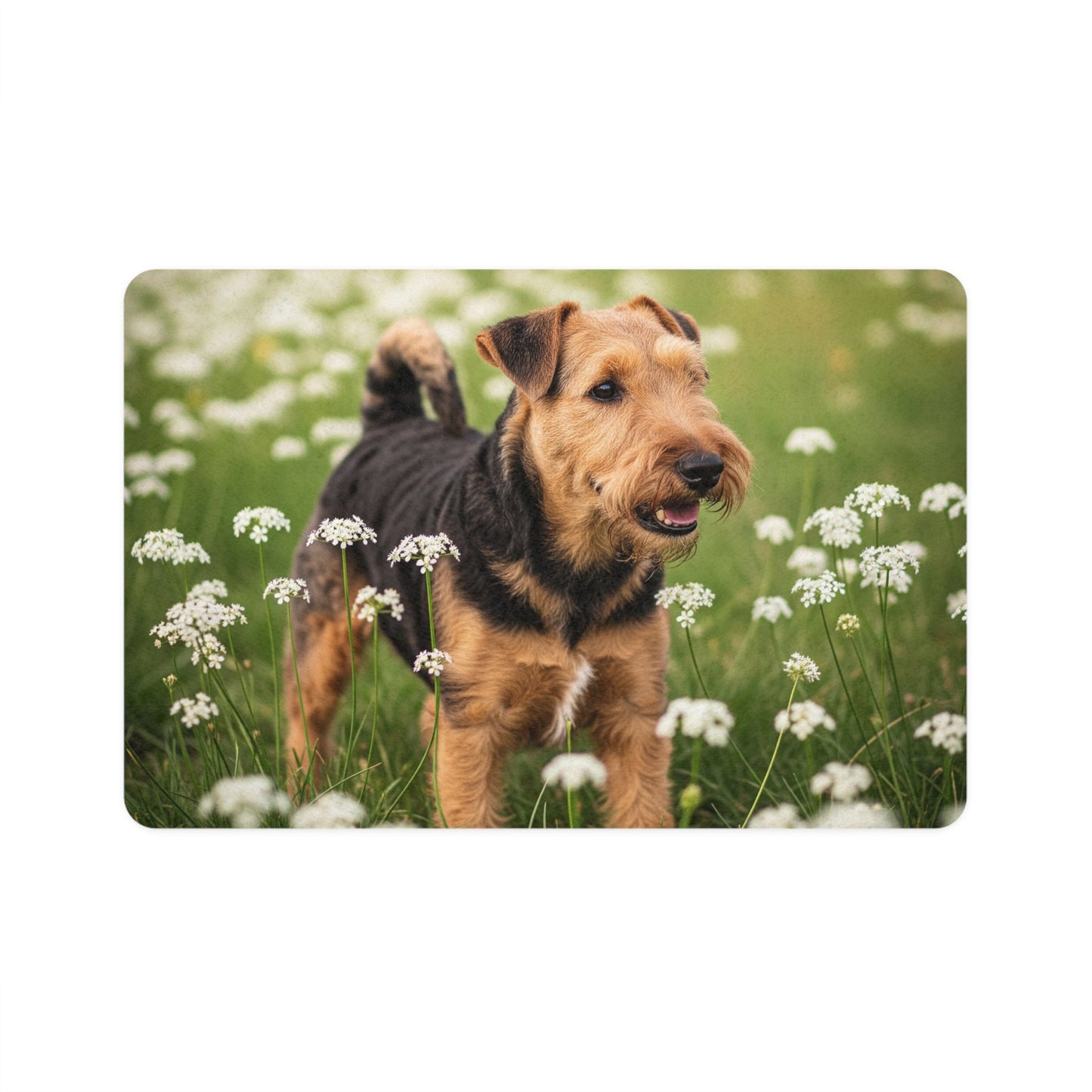 Tapis antidérapant pour animaux de compagnie – Tapis d'alimentation étanche pour chiens