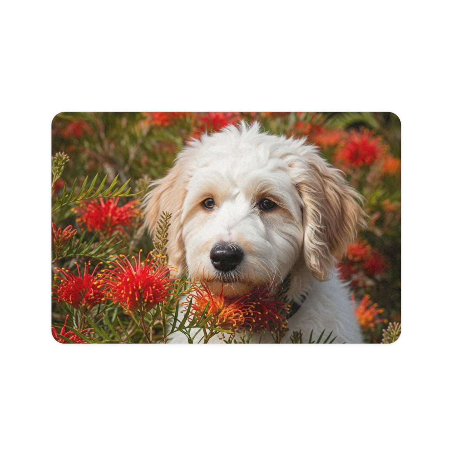 Tapis antidérapant pour animaux de compagnie – Tapis d'alimentation étanche pour chiens