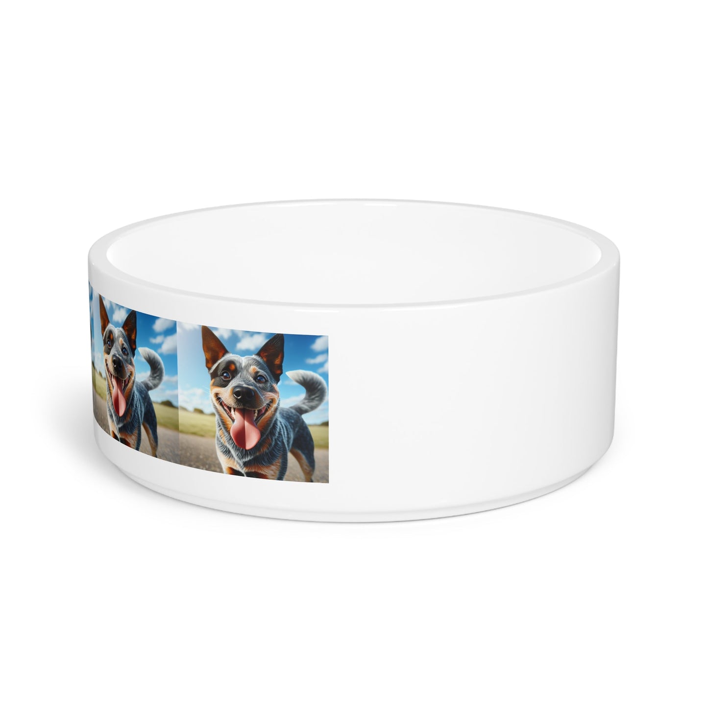 Gamelle en céramique pour animaux de compagnie – Gamelle de 47 cl pour chien