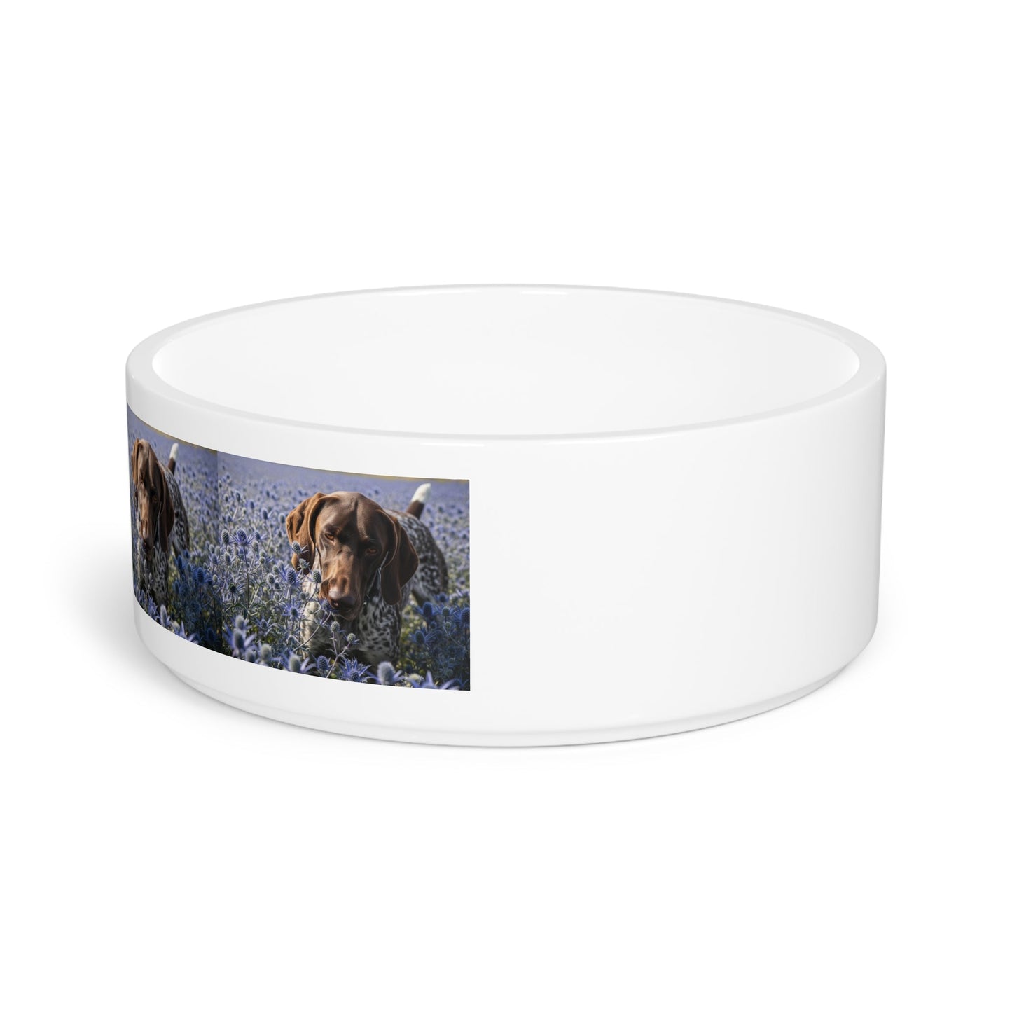 Gamelle en céramique pour animaux de compagnie – Gamelle de 47 cl pour chien