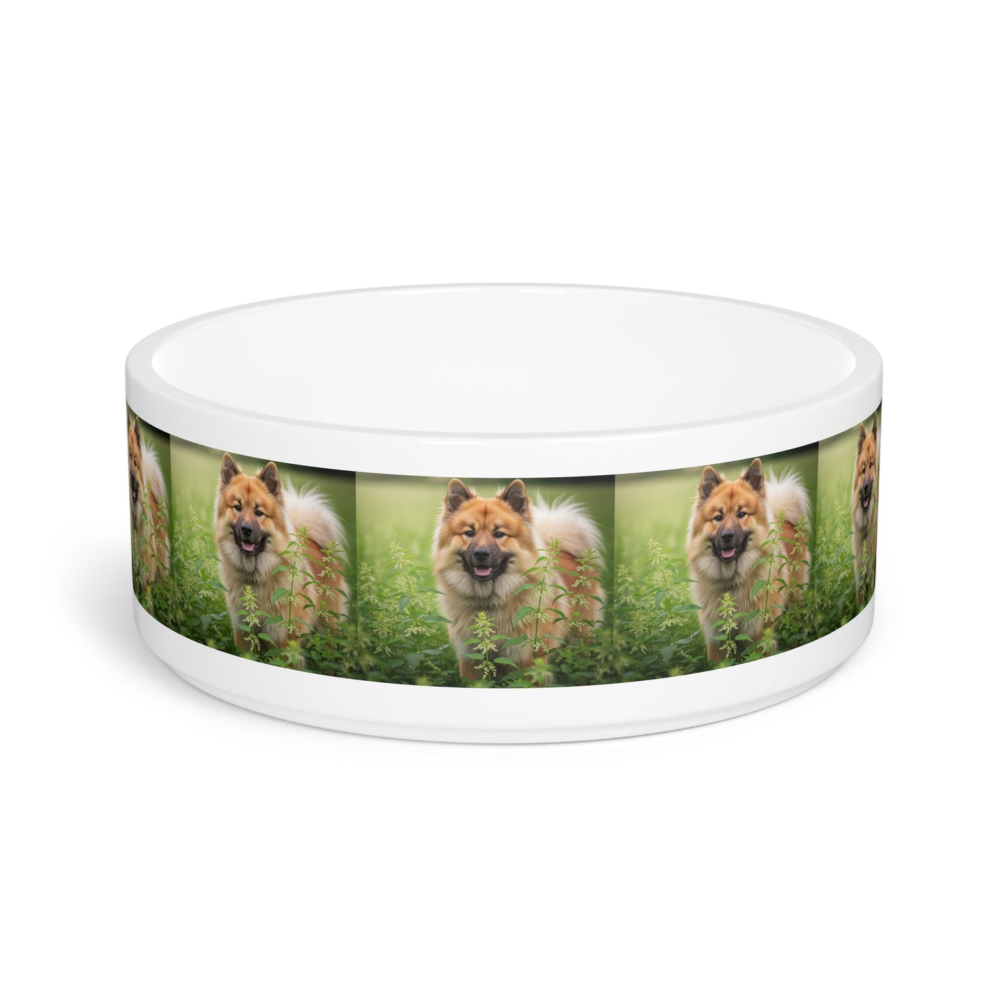 Ceramic Pet Bowl – 16 oz Dog Feeding Bowl