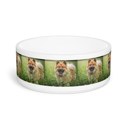 Ceramic Pet Bowl – 16 oz Dog Feeding Bowl