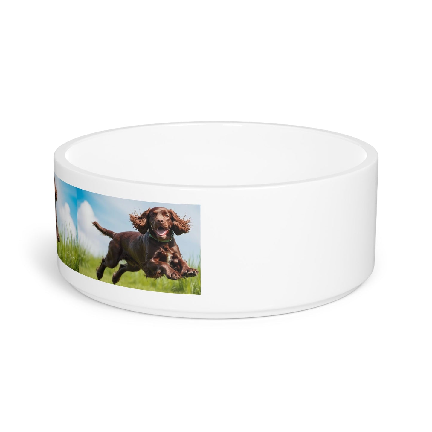 Ceramic Pet Bowl – 16 oz Dog Feeding Bowl