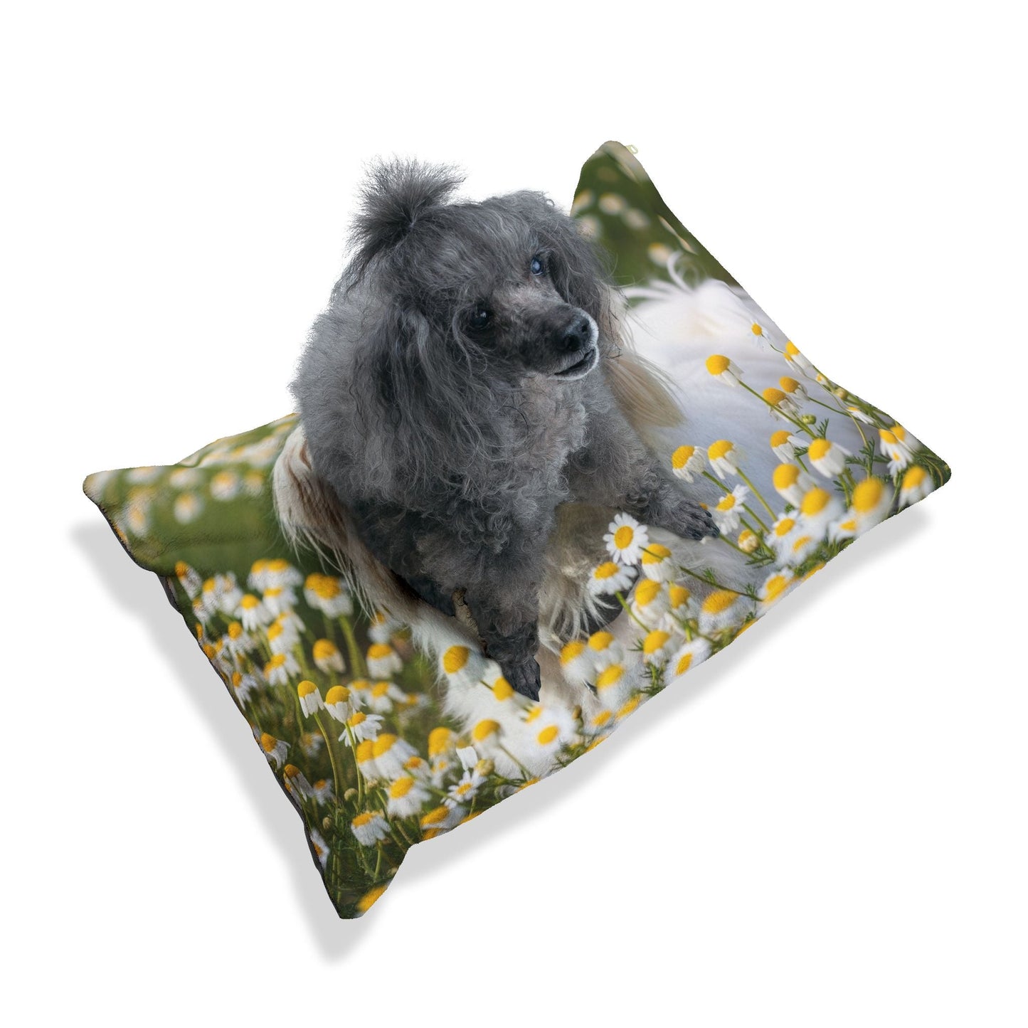 Pet Bed – Plush Dog Bed, 3 Size Options