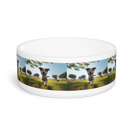 Ceramic Pet Bowl – 16 oz Dog Feeding Bowl