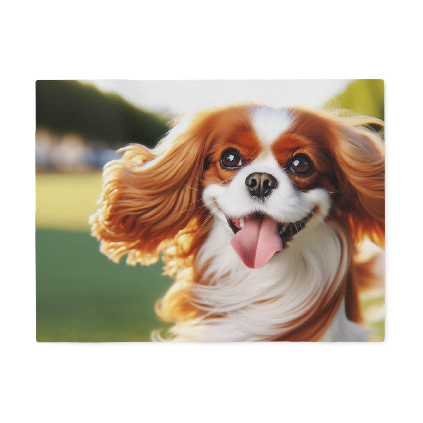Sweatshirt Blanket – Plush Fleece Throw, 2 Size Options