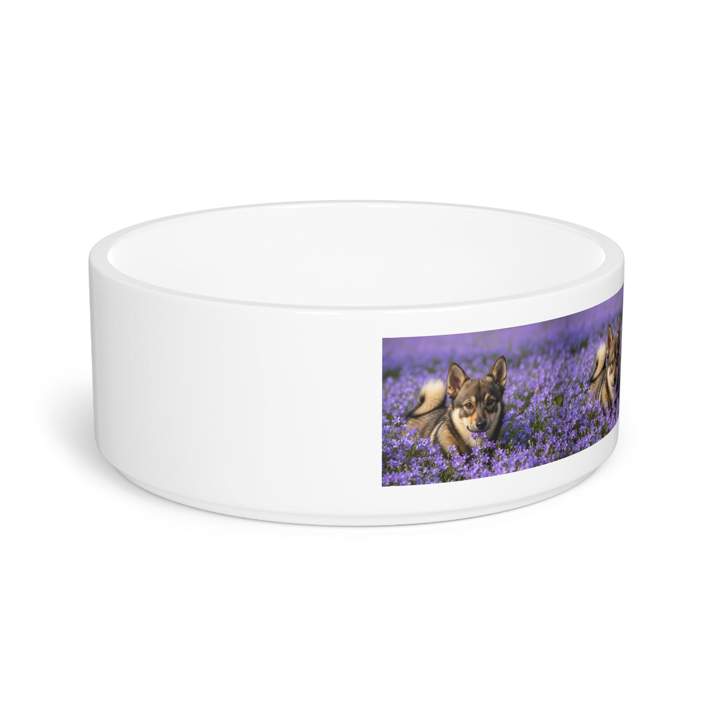 Ceramic Pet Bowl – 16 oz Dog Feeding Bowl