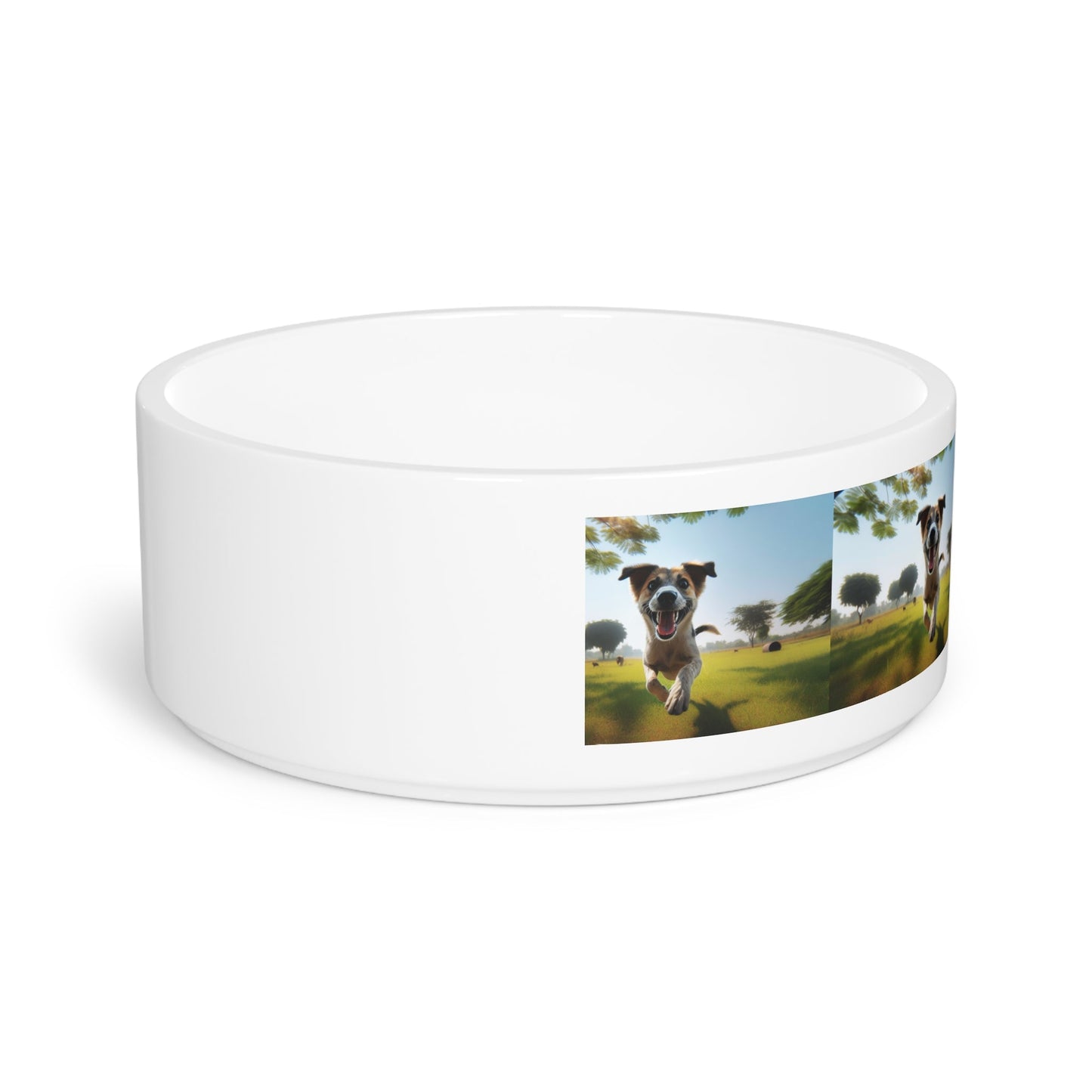 Ceramic Pet Bowl – 16 oz Dog Feeding Bowl