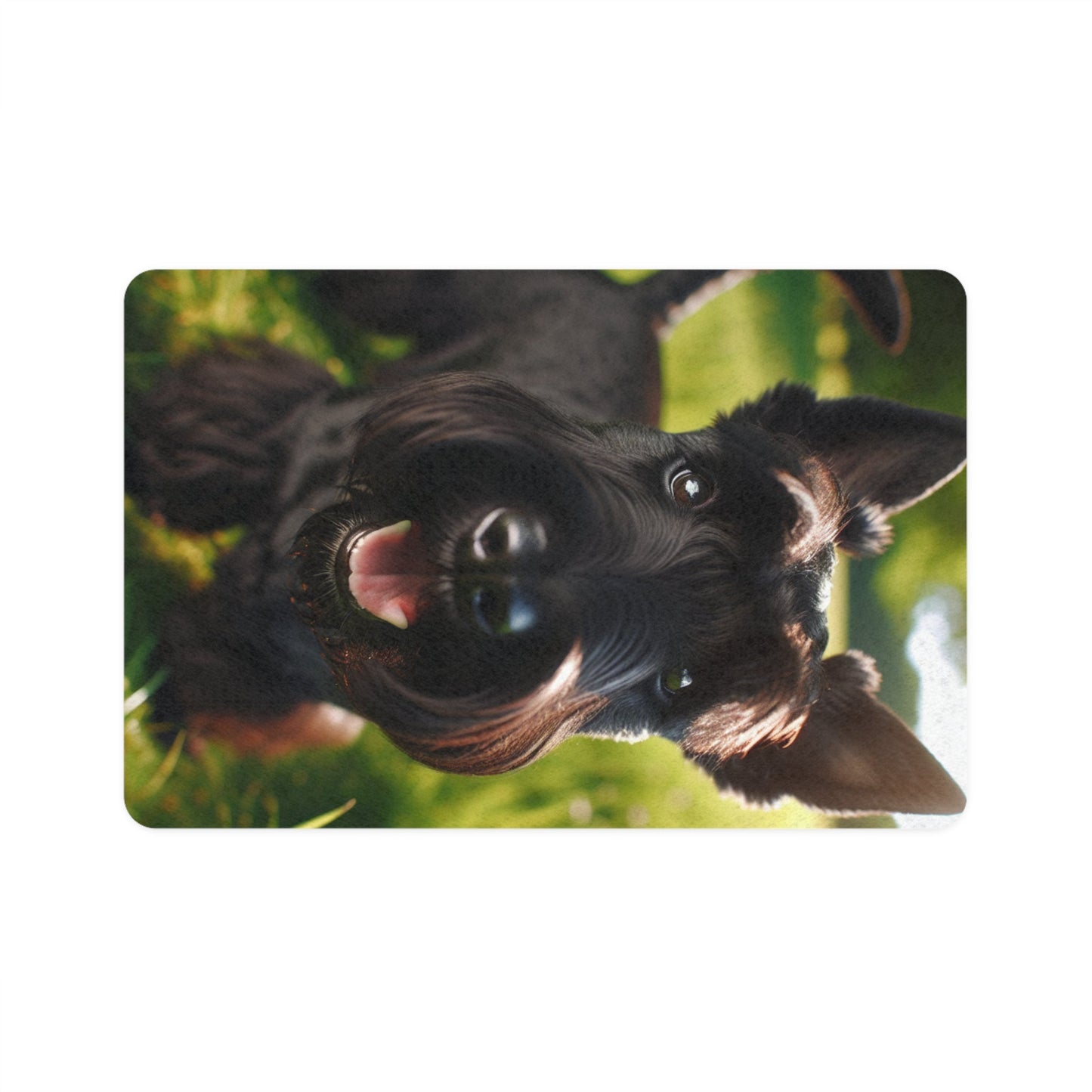 Non-Slip Pet Food Mat – Waterproof Feeding Mat for Dogs